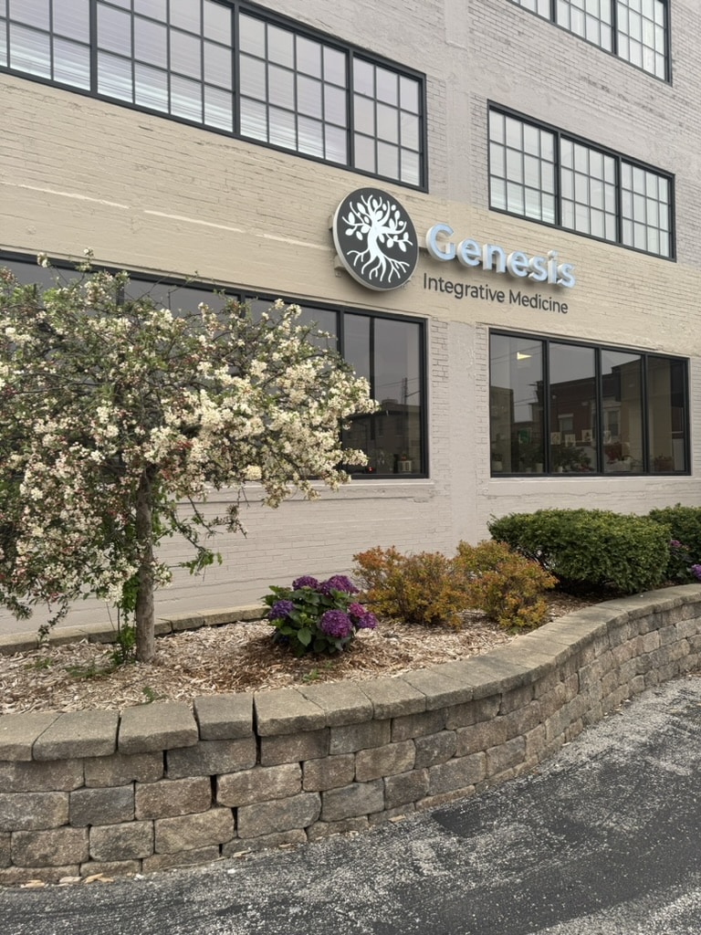 E6B95586-4D19-4163-8C55-39348B9B743F_1_105_c Terra